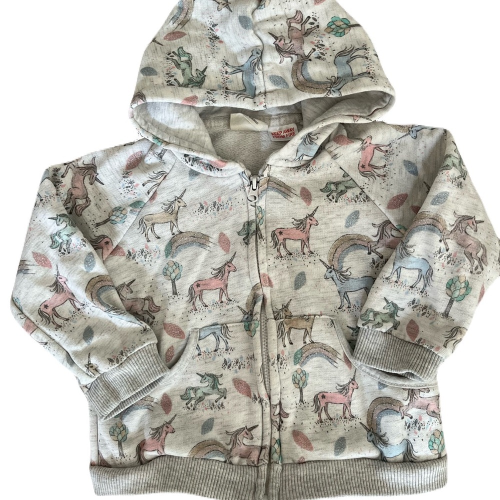 Zara Gray Sweatshirt Cozy Hoodie